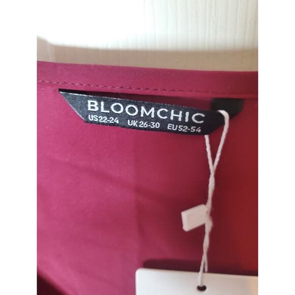 BloomChic V-Neck Elastic Arm Lightweight Blouse, NWT, 3X - Picture 5 of 6